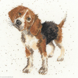 Bothy Threads, kit Beagle (BOXHD12)