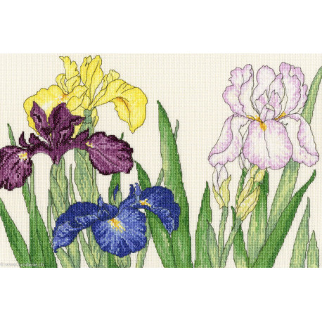 Bothy Threads, kit Iris blooms (BOXBD14)