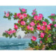 Collection d'Art, kit diamant Blossoming dog rose (CADE7046)