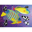 Collection d'Art, kit diamant Colourful fishies (CADE7096)