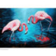 Collection d'Art, kit diamant Flamingos on the lake (CADE3442)