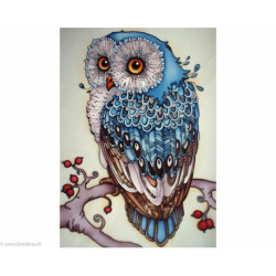 Collection d'Art, kit diamant Owl (CADE491)