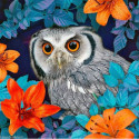 Collection d'Art, kit diamant Owl and lilies (CADE7122)