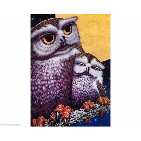 Collection d'Art, kit diamant Owls (CADE1040)