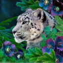 Collection d'Art, kit diamant Snow leopard and anemones (CADE7120)