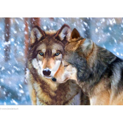 Collection d'Art, kit diamant Wolf couple (CADE7088)