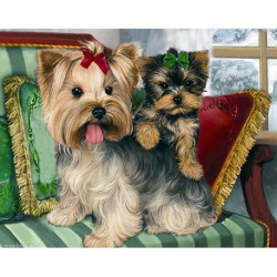 Collection d'Art, kit diamant Yorkshire terriers (CADE489)