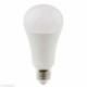 Daylight, ampoule économique LED 15W (D15500)