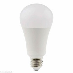 Daylight, ampoule économique LED 15W (D15500)