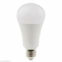 Daylight, ampoule économique LED 15W (D15500)