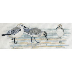 Derwentwater, kit Birds - Waders (DWBB03)
