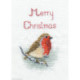 Derwentwater, kit Christmas Card - Snow Robin (DWCDX03)