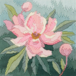 Derwentwater, kit Long Stitch - Peony (DWLSPY)