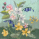 Derwentwater, kit Long Stitch - Seasons-Spring (DWLSS01)