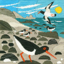 Derwentwater, kit Long Stitch - Silken Scenes Oystercatchers (BOSSMJ2)