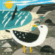 Derwentwater, kit Long Stitch - Silken Scenes Seagulls (BOSSMJ1)