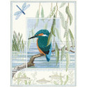 Derwentwater, kit Wildlife - Kingfisher (DWWIL1)