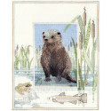 Derwentwater, kit Wildlife - Otter (DWWIL6)