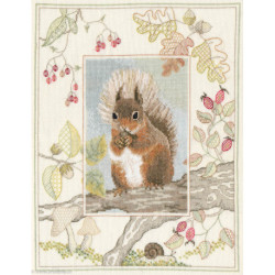 Derwentwater, kit Wildlife - Red Squirrel (DWWIL4)