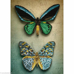 Diamond Dotz, kit diamant niveau 2 Antique Butterflies (DD9064)