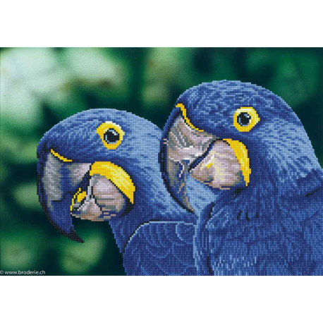 Diamond Dotz, kit diamant niveau 2 Blue Hyacinth Macaws (DD9023)