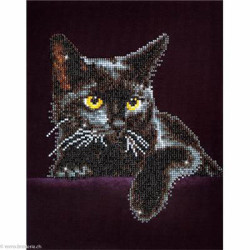 Diamond Dotz, kit diamant niveau 2- CHAT NOIR (DD5001)