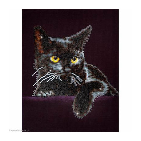 Diamond Dotz, kit diamant niveau 2- CHAT NOIR (DD5001)