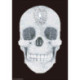 Diamond Dotz, kit diamant niveau 2 Crystal Skull (DD10021)