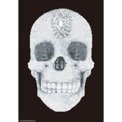 Diamond Dotz, kit diamant niveau 2 Crystal Skull (DD10021)