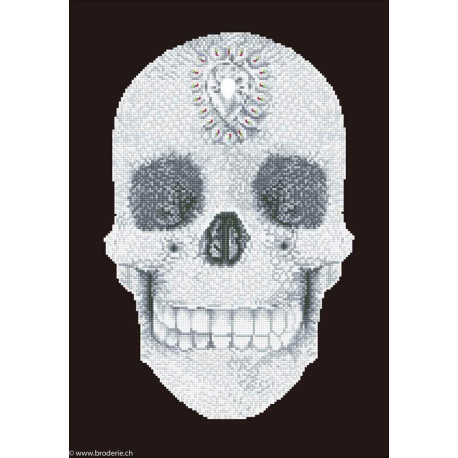 Diamond Dotz, kit diamant niveau 2 Crystal Skull (DD10021)