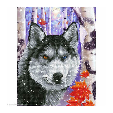 Diamond Dotz, kit diamant niveau 2 Forest Wolf (DD10040)