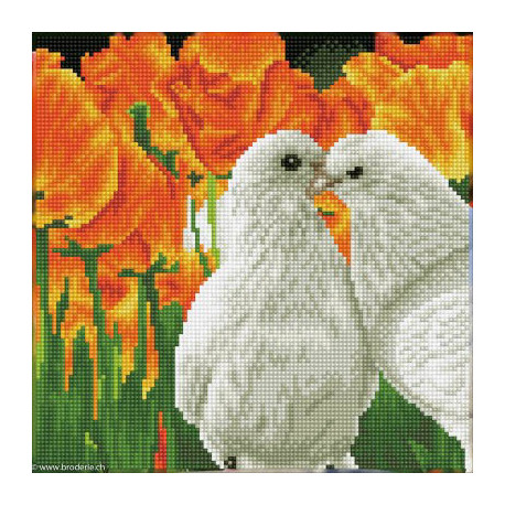 Diamond Dotz, kit diamant niveau 2 Kissing Doves (DD5077)