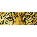 Diamond Dotz, kit diamant niveau 2 Leopard Spy (DD5028)