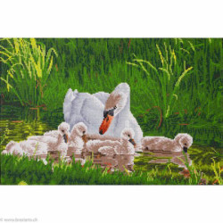 Diamond Dotz, kit diamant niveau 2 Mother Swan & Signets (DD12058)