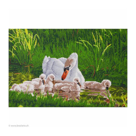 Diamond Dotz, kit diamant niveau 2 Mother Swan & Signets (DD12058)