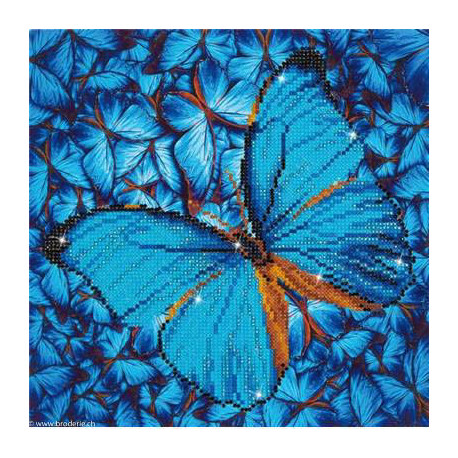 Diamond Dotz, kit diamant niveau 2- PAPILLON BLEU (DD5014)