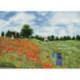 Diamond Dotz, kit diamant niveau 2 Poppy fields, Monet (DD12048)