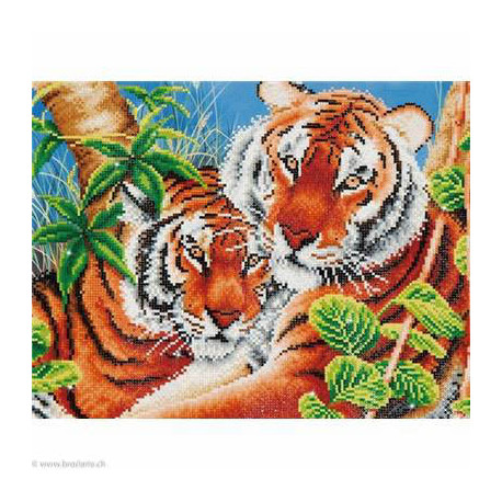 Diamond Dotz, kit diamant niveau 2- TENDRES TIGRES (DD10004)