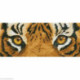 Diamond Dotz, kit diamant niveau 2 Tiger Spy (DD5041)