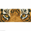 Diamond Dotz, kit diamant niveau 2 Tiger Spy (DD5041)