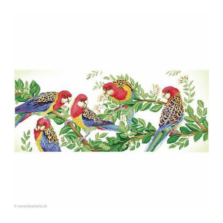 Diamond Dotz, kit diamant niveau 3- Eastern Rosella Gathering (DD13025)