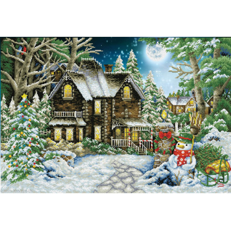 Diamond Dotz, kit diamant niveau 3 Winter Wonderland (DD15020)