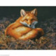 Dimensions, kit Sunlit Fox (DIM35318)