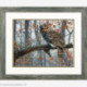 Dimensions, kit Wise Owl (DIM35311)