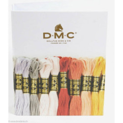 DMC, classeur de rangement DMC (DMC-GC003)