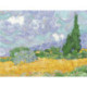 DMC, kit National Gallery Champ de blé avec cyprès (DMC-BL1067)