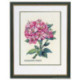 Eva Rosenstand, kit Rhododendron rose (EV12-895)
