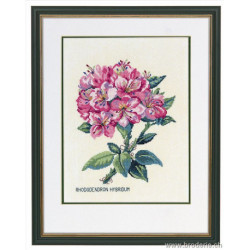 Eva Rosenstand, kit Rhododendron rose (EV12-895)