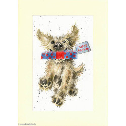Bothy Threads, kit carte de voeux Special Delivery (BOXGC31)