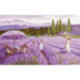 Luca-S, kit Lavender field (LUCASBU5008)